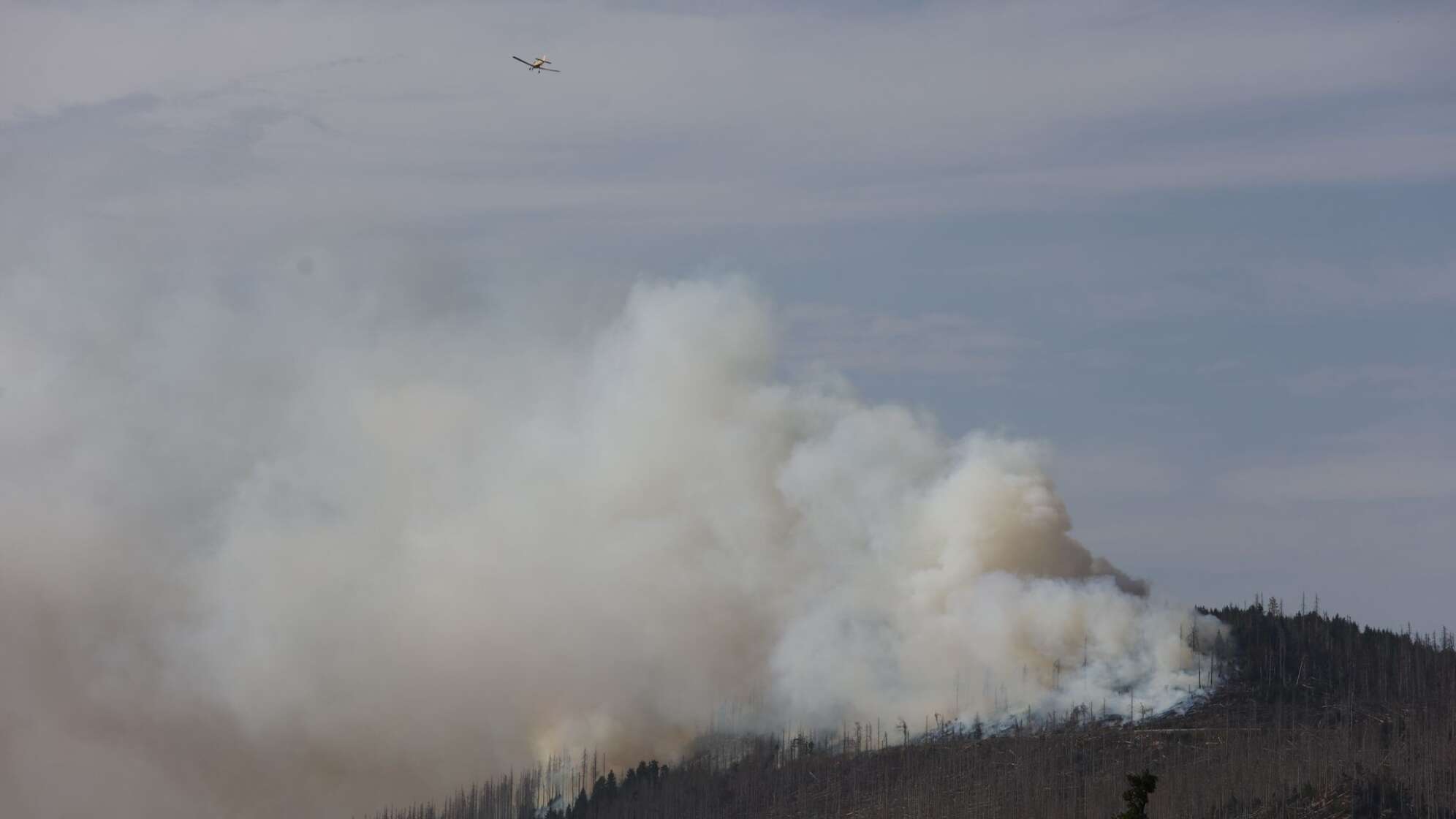 Brand am Königsberg im Harz