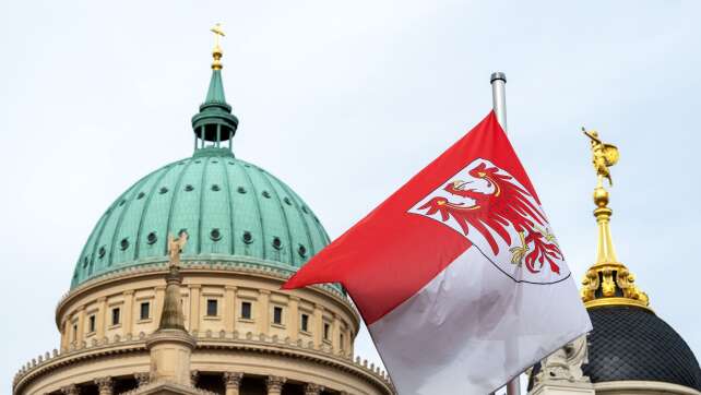 Brandenburg-Umfrage: AfD vor SPD - Gute Noten für Woidke