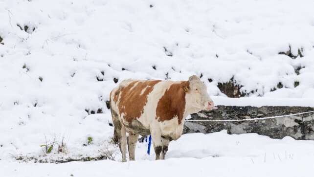 In Tirol entlastet Schnee in höheren Lagen die Flüsse