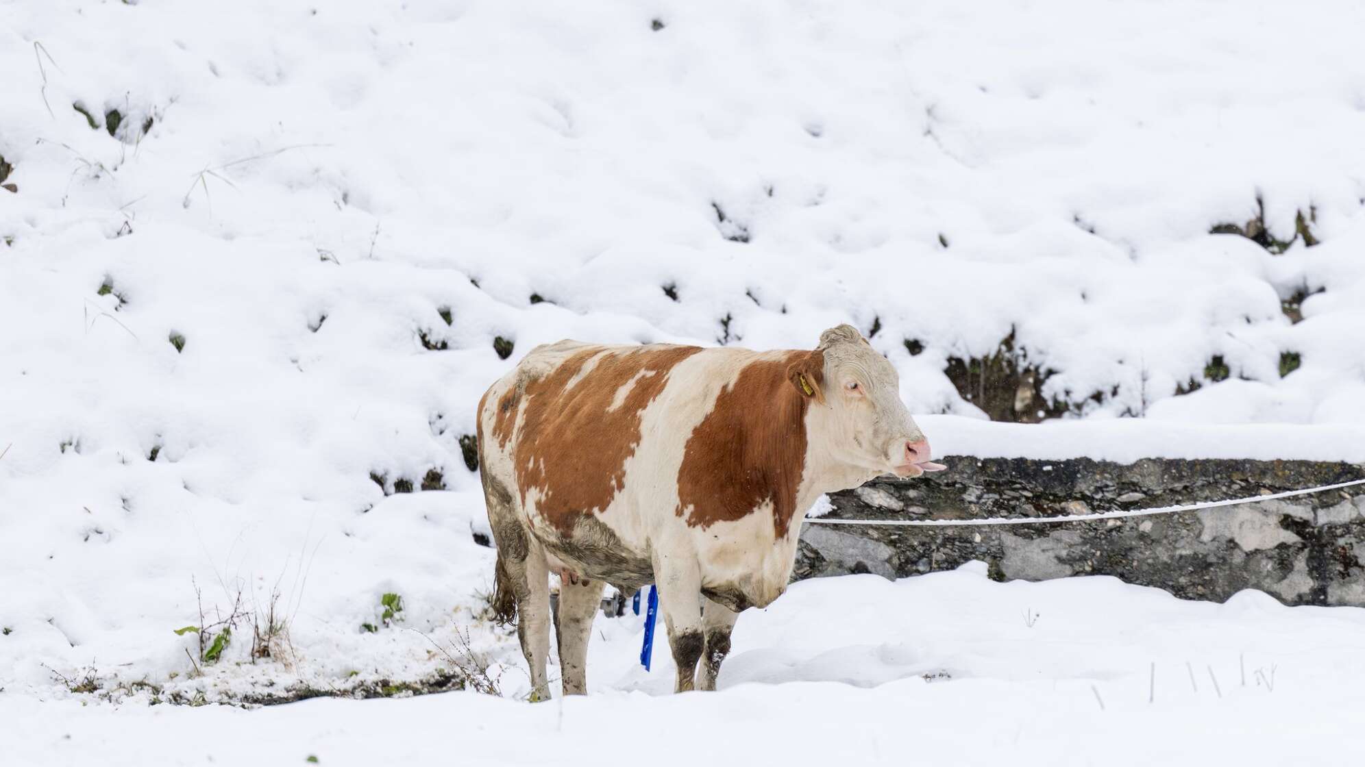 Winterwetter in Österreich