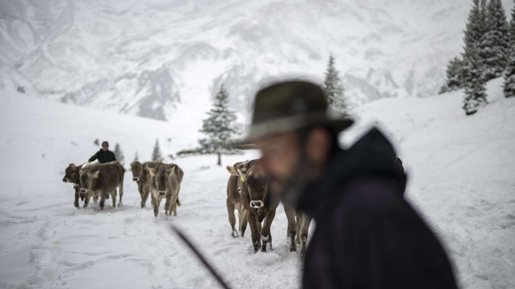 Schneefall in der Schweiz