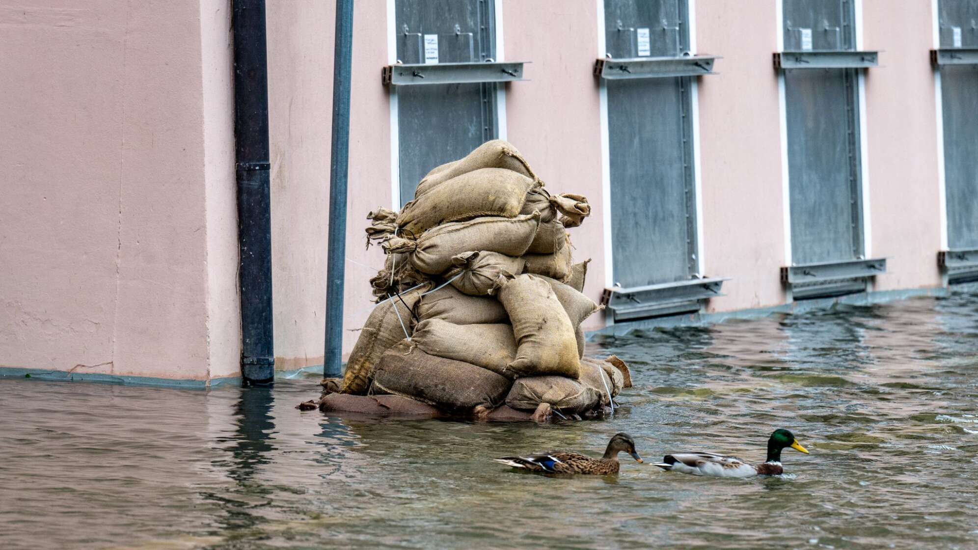 Hochwasser in Passau