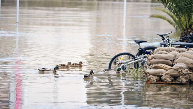 Zweithöchste Hochwasser-Warnstufe in Landshut