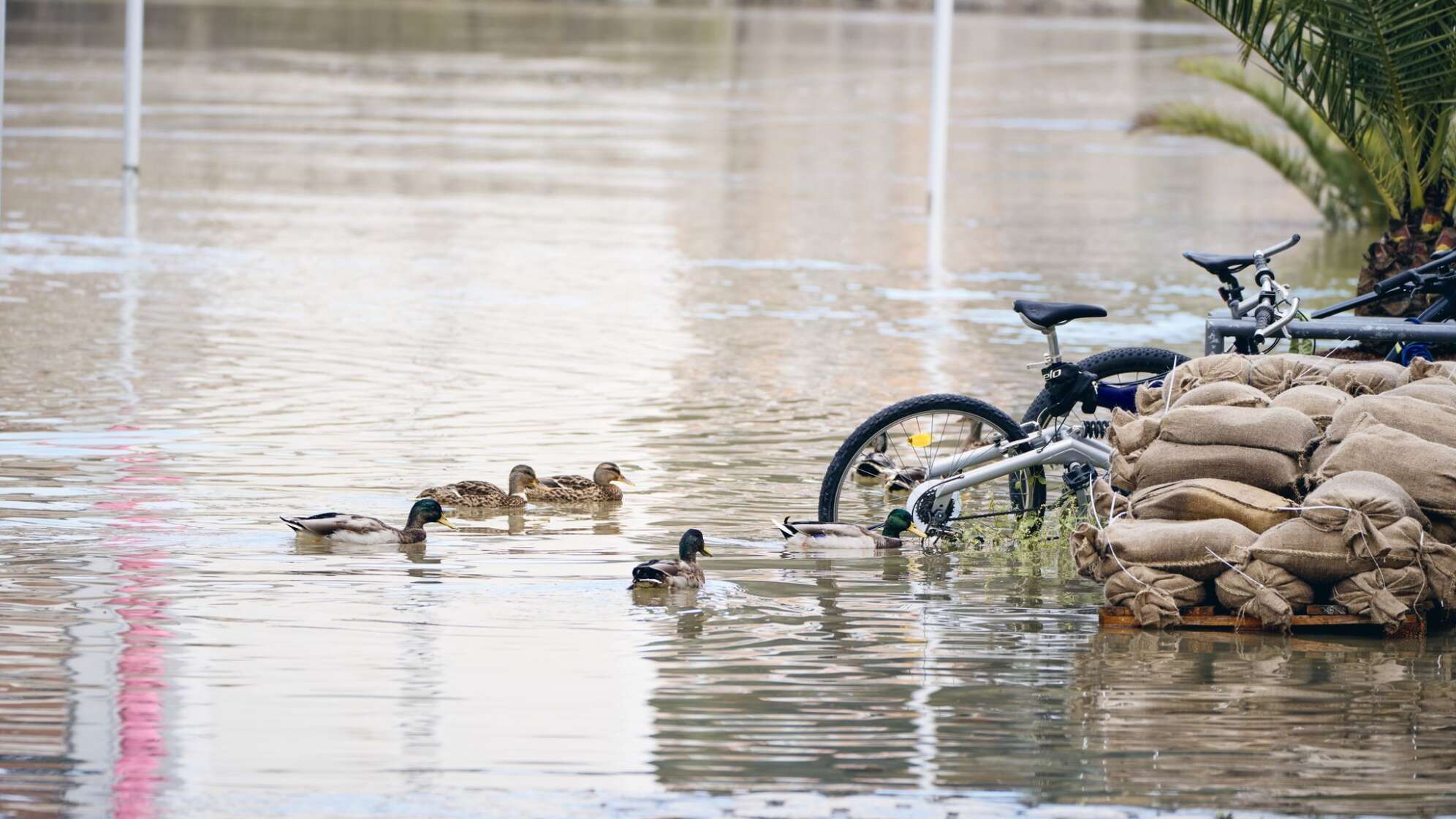 Hochwasser in Passau