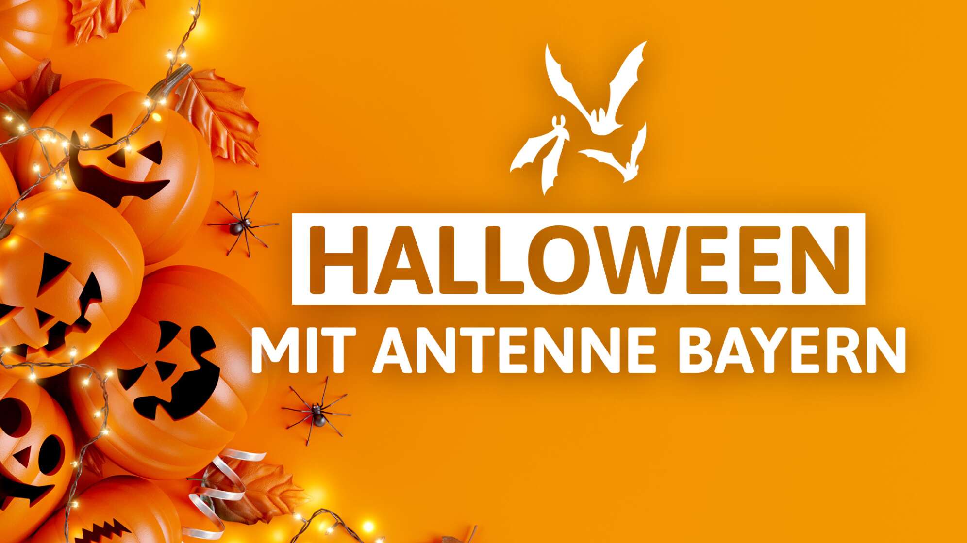 Halloween 2024 mit ANTENNE BAYERN:<br>Dein ultimativer Grusel-Guide!