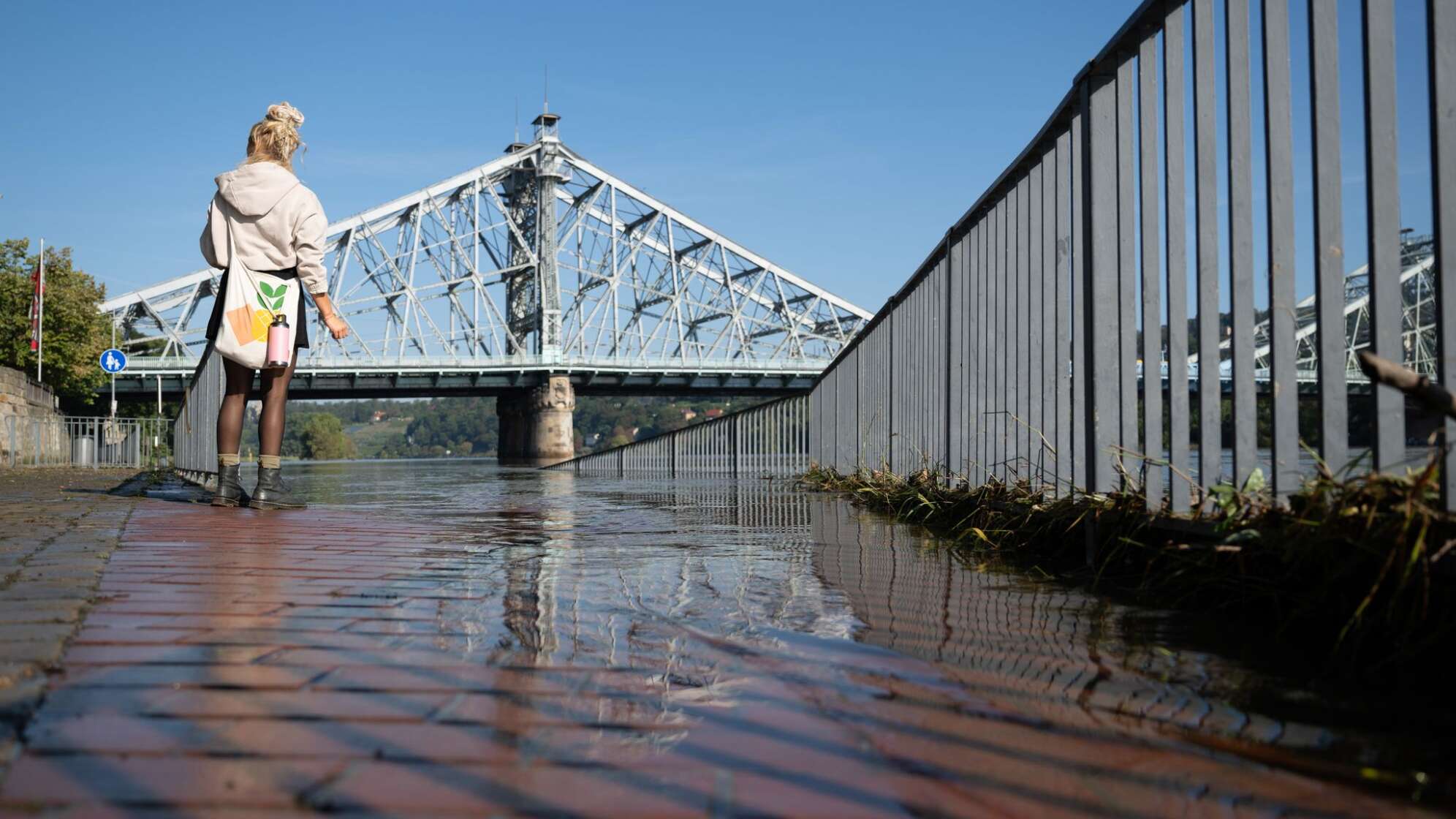 Elbe-Hochwasser - Dresden