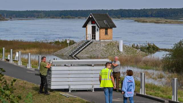 Oder-Hochwasser: Höchste Alarmstufe in Ratzdorf erwartet