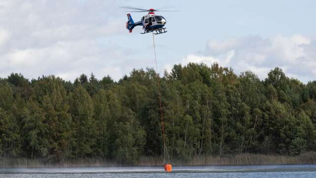 Niedersachsen stärkt Feuerwehr für Waldbrandeinsätze