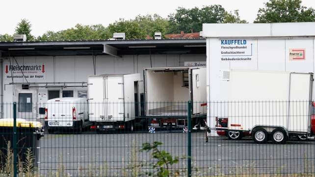 Verstöße im Schlachthof - Tierärztinnen vor Gericht