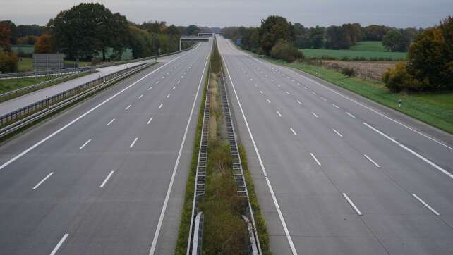 Durch Unfall verstörter Hund stoppt Verkehr auf Autobahn