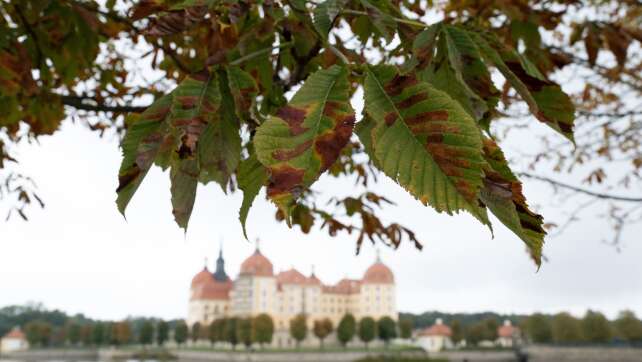 Ruhiges Herbstwochenende steht bevor