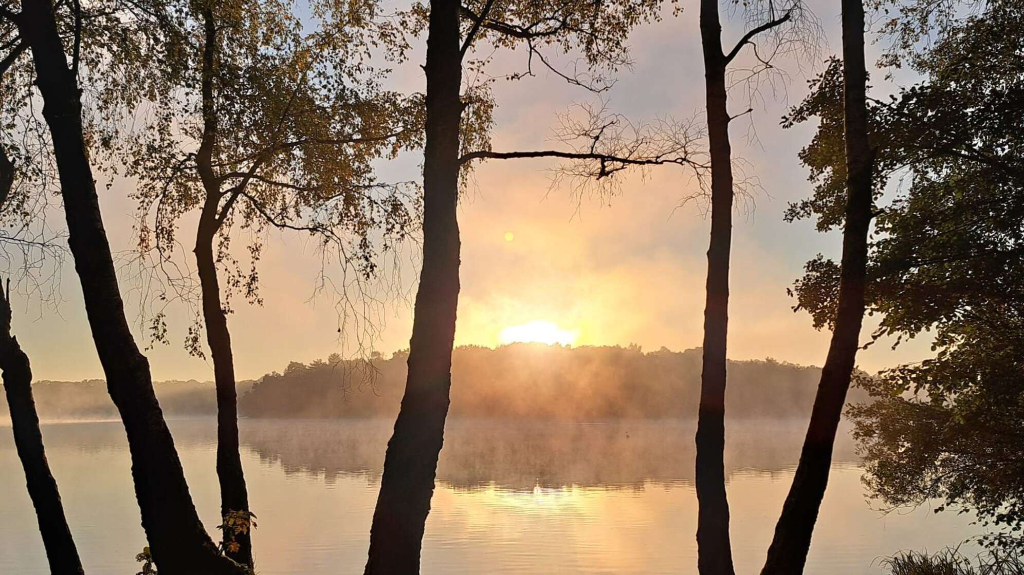 Morgennebel in Duisburg