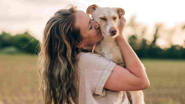 Was muss ich als Hundehalter in Bayern alles beachten? Wichtige Regeln und Pflichten