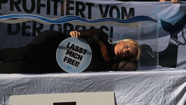 Sarah Connor und Peta protestieren gegen Haltung von Orcas