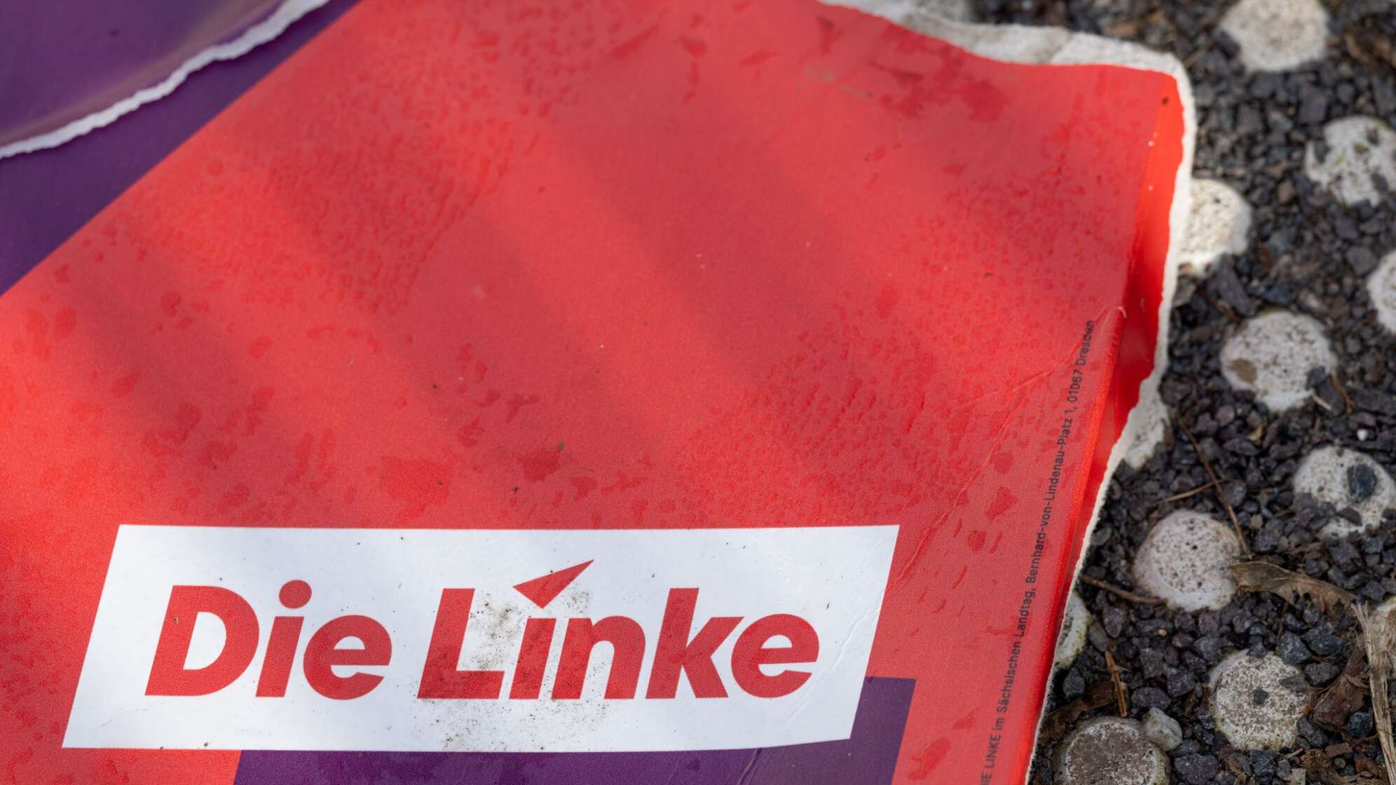 Die Linke