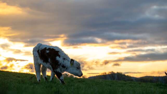 Mildes Herbstwetter mit Sonne, Wolken und Regen