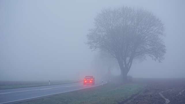 Sicher Autofahren im Nebel: Was ihr wissen müsst