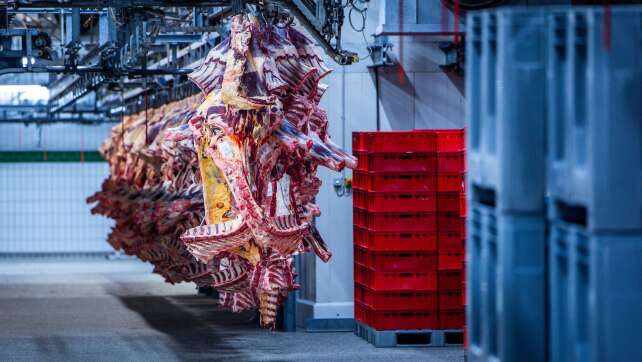 Schlachthof wegen möglicher Tierquälerei geschlossen