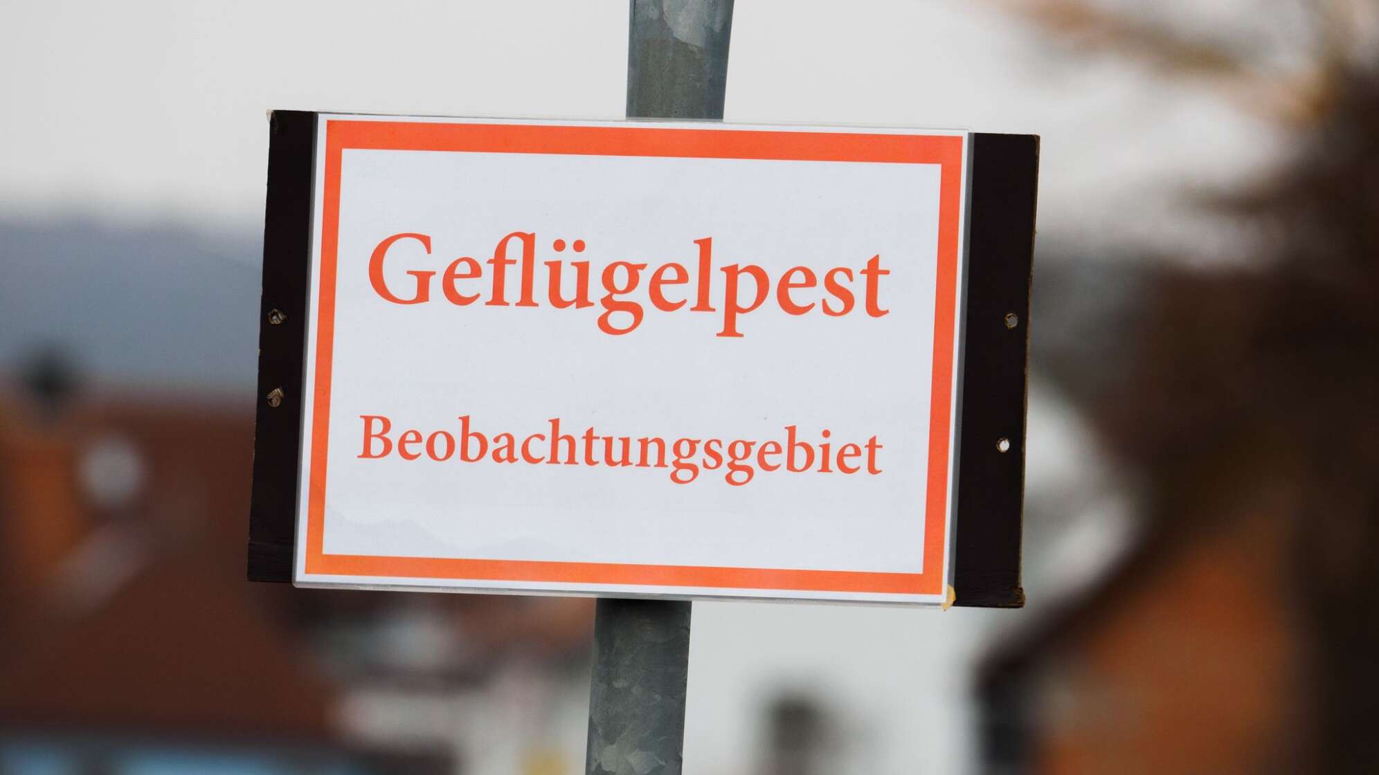 Geflügelpest