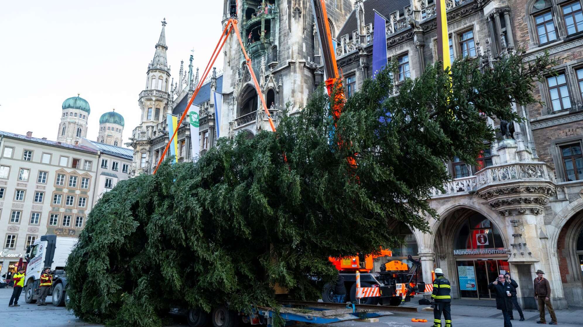 Aufstellung des Christbaums auf dem Marienplatz