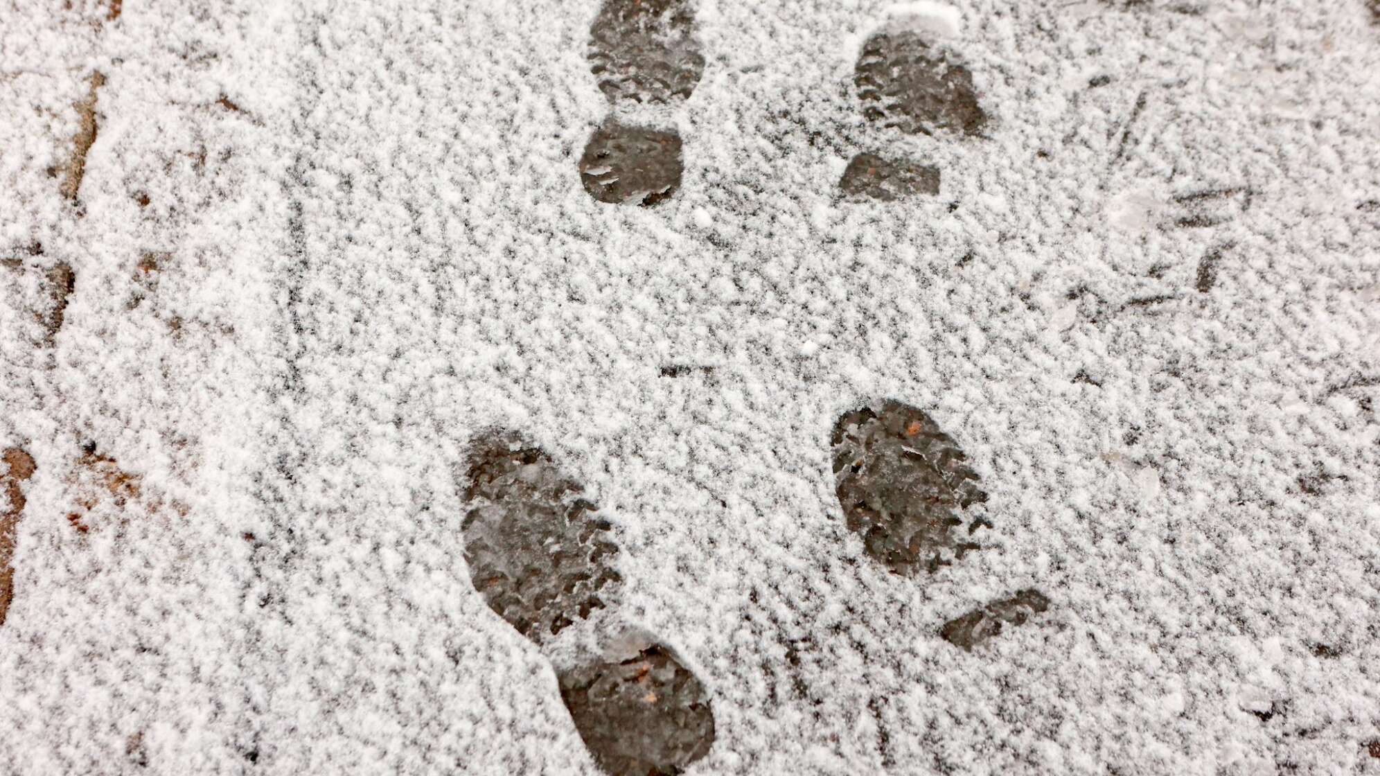 Erste Schneeflocken auf dem Brocken