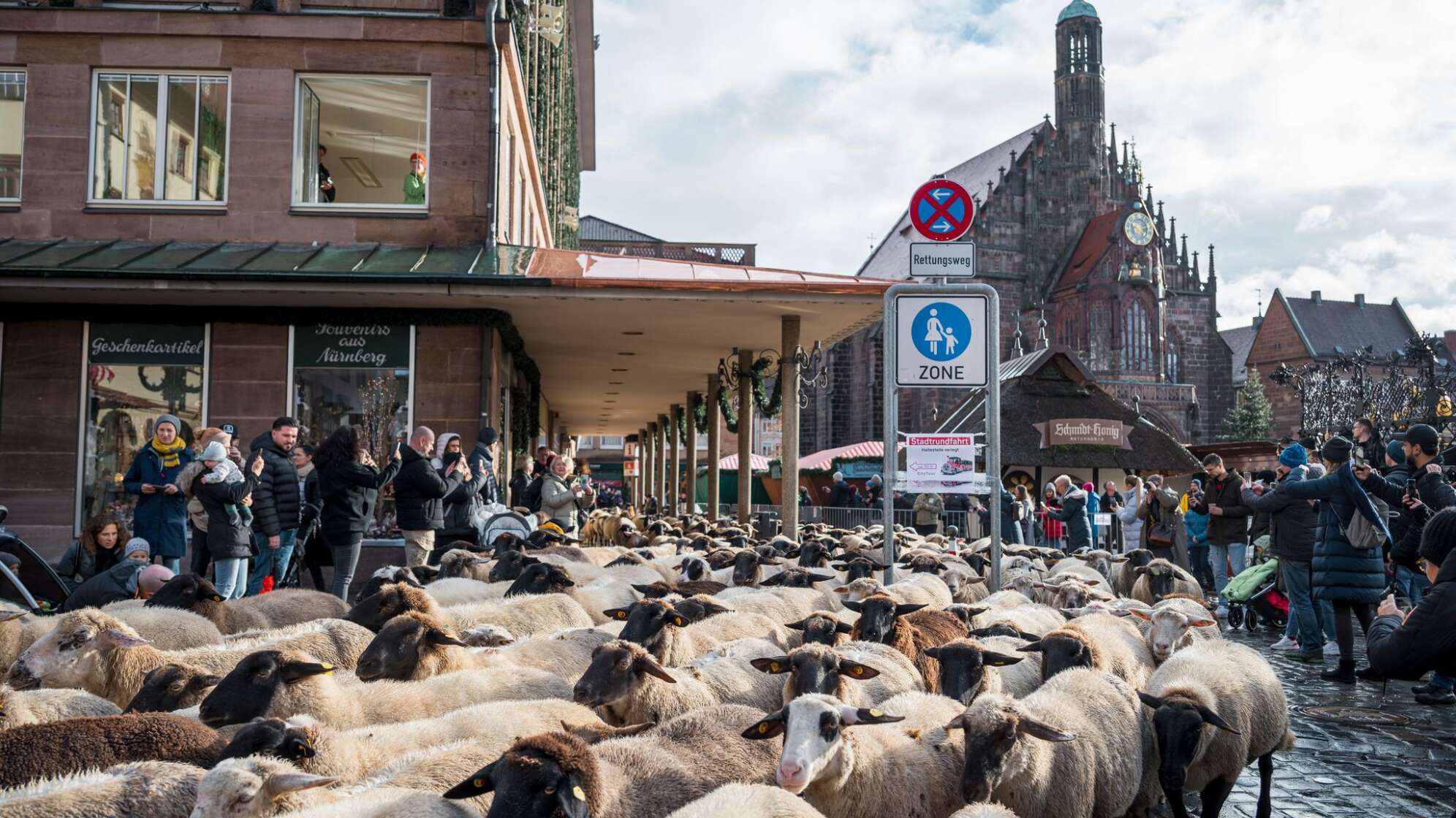 600 Schafe ziehen durch die Nürnberger Innenstadt