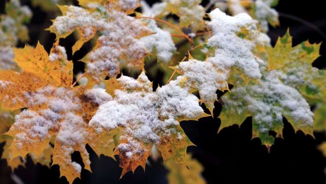 Neue Woche bringt Schnee nach Bayern