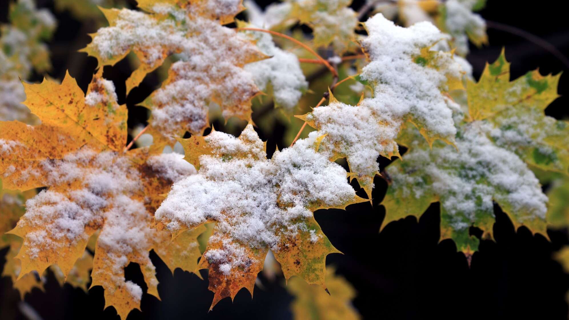 Schnee im Voralpenland