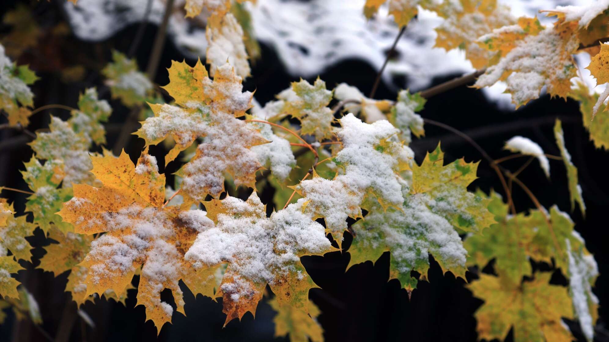 Schnee im Voralpenland