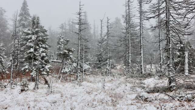 Tief «Quiteria» bringt Sturmböen und Schnee