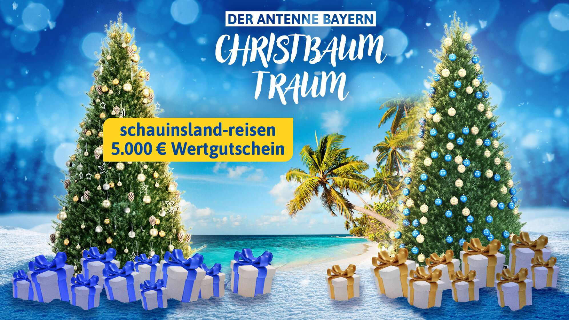 Der ANTENNE BAYERN Christbaum Traum