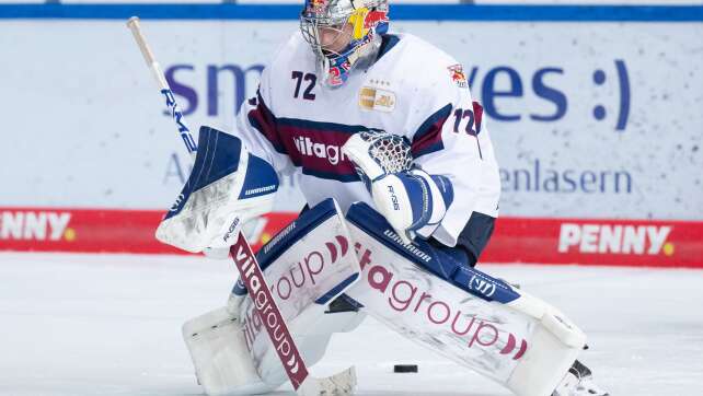 Nürnberg Ice Tigers holen weiteren Goalie