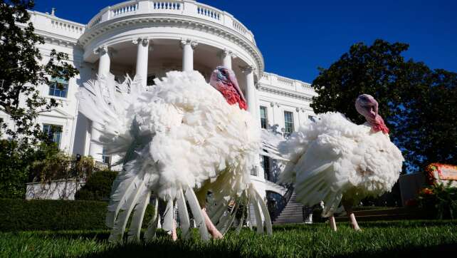 US-Medien geben Tipps für ein harmonisches Thanksgiving