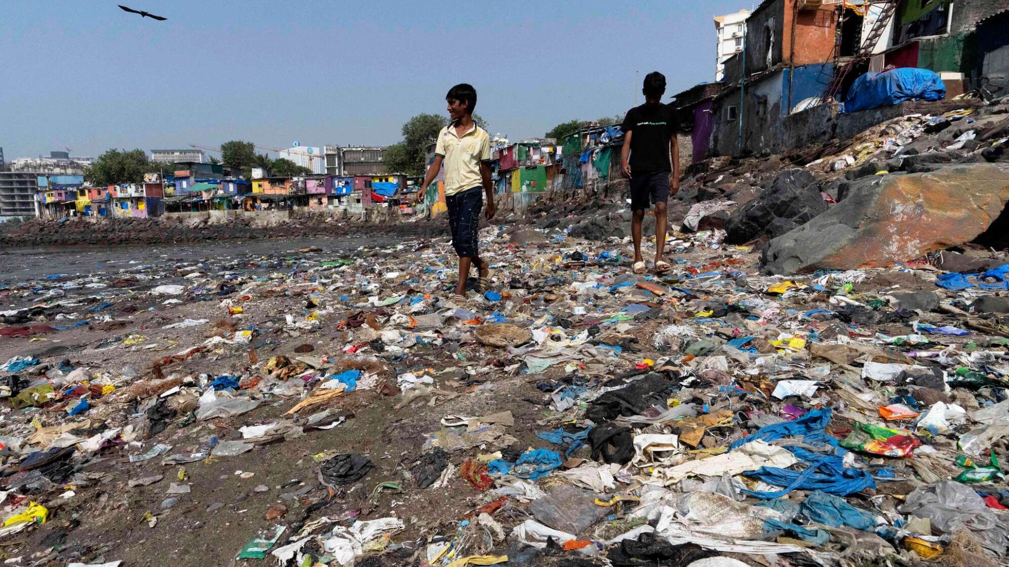 Umweltverschmutzung in Indien