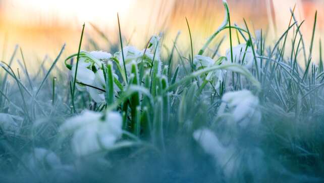 Frost, aber kaum Schnee in Bayern